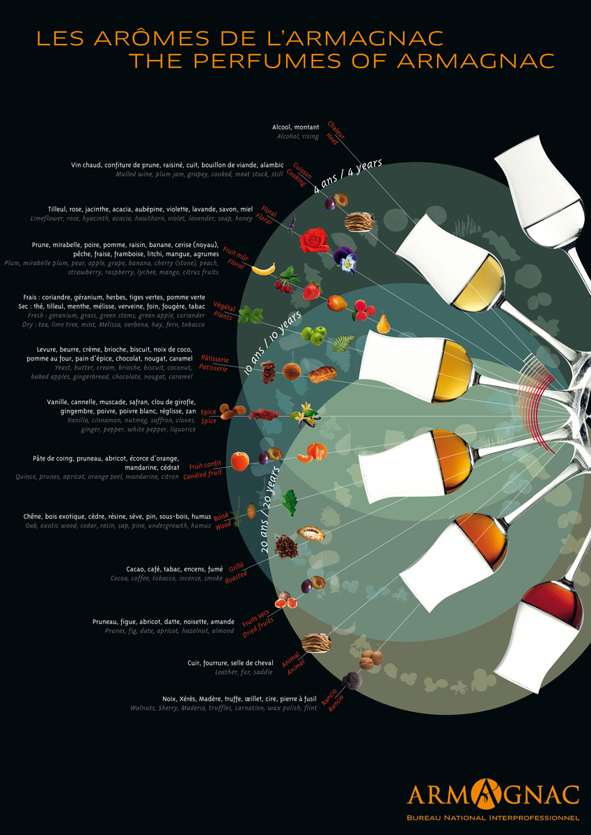 Wheel of aromas in Armagnac